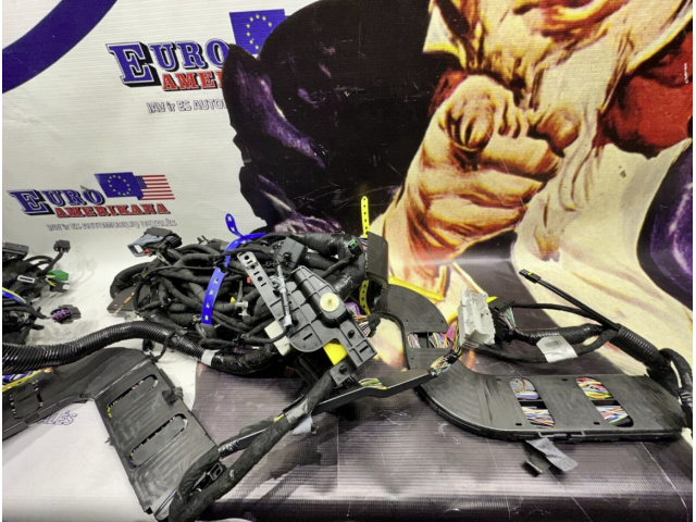 Body Wiring Harness